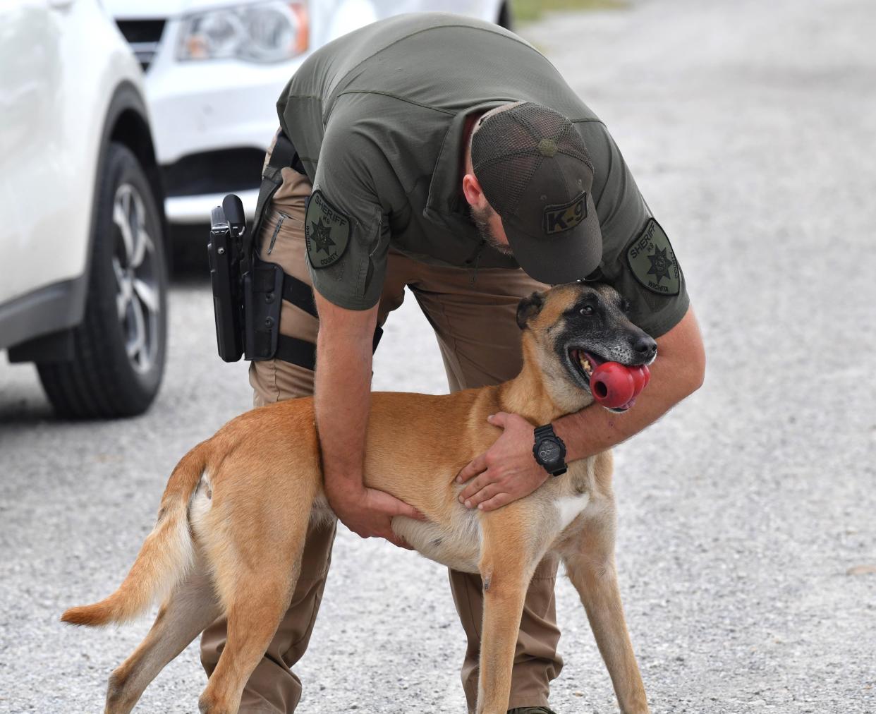 Sheriff's Cpl. Daniel Jacobson rewards his K9 Jynx after performing a demonstration at the Wichita County Law Enforcement Center in Wichita Falls on Wednesday.