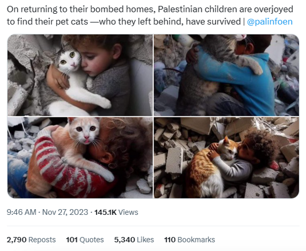 A X post says, "On returning to their bombed homes, Palestinian children are overjoyed to find their pet cats -  who they left behind, have survived." Below are four iamges showing kids holding cats.