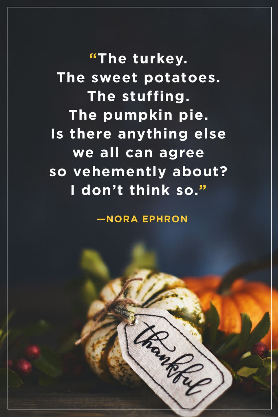 <p>“The turkey. The sweet potatoes. The stuffing. The pumpkin pie. Is there anything else we all can agree so vehemently about? I don’t think so.”</p>