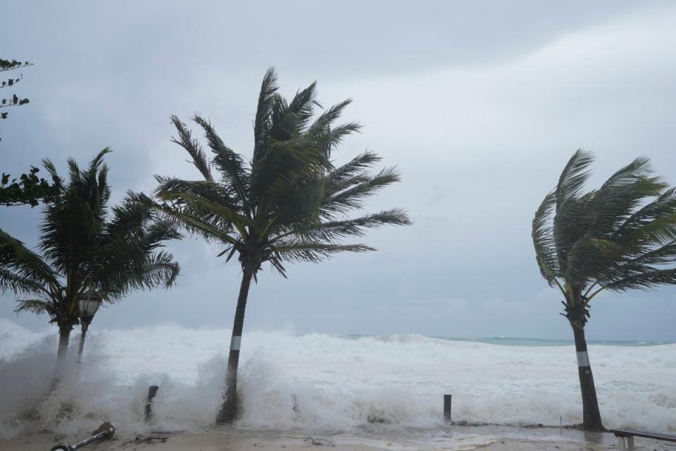 Waves hit wind-swept palm trees as Hurricane Beryl hits Hastings, Barbados, on Monday. The destructive storm, which is approaching Category 5 strength, could hit Jamaica as soon as Wednesday (AP)