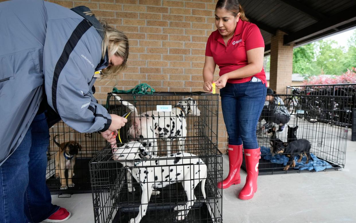 Brittney Richell, left, and Vanessa Valdez, of the Red Cross, tag dog kennels after the animals were evacuated from flooded areas to a Red Cross shelter set up at Sts. Simon and Jude Catholic Church in The Woodlands, north of Houston