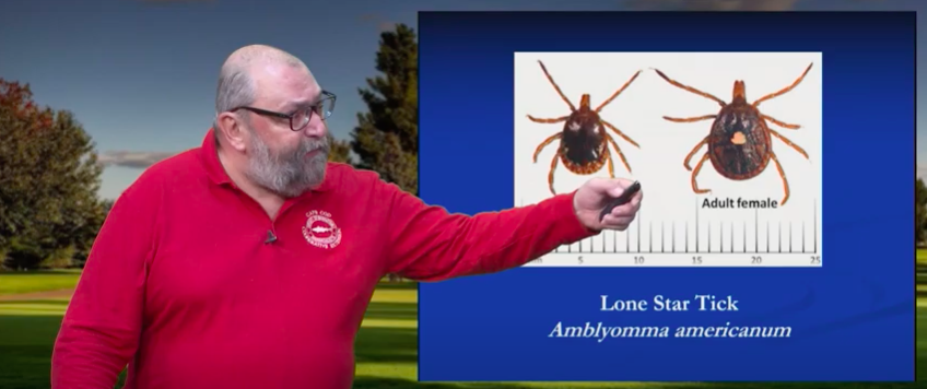 Larry Dapsis, deer tick project coordinator and entomologist for the Cape Cod Extension, is pictured in a screenshot from a tick PSA video.