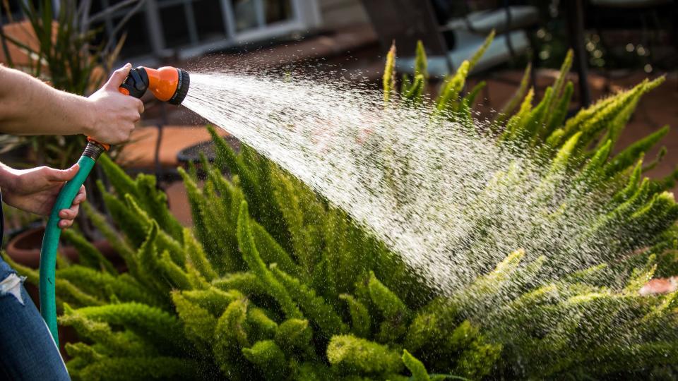 Ensure your greenery is hydrated with these great garden hoses.