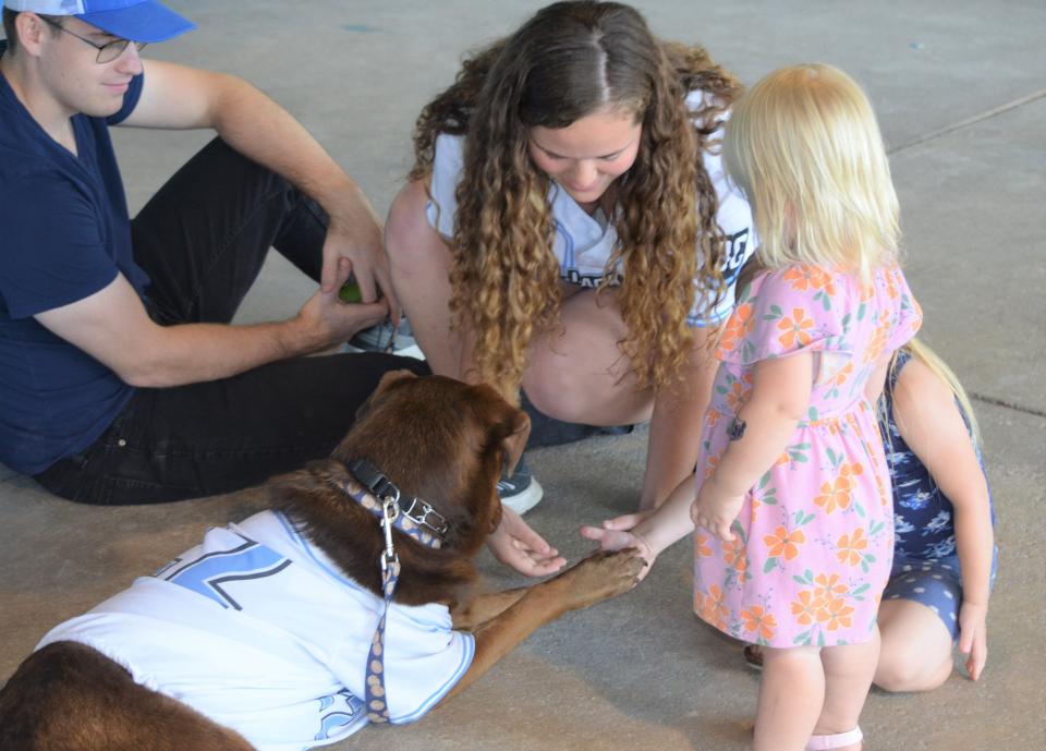 When he's not retrieving bats for the Battle Jacks, Brutus is welcoming fans at MCCU Park at C.O. Brown Stadium.