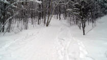 Twice this winter showshoers have become lost in Gatineau Park.