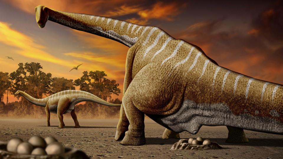 Staggering Number Of Titanosaur Nests Discovered In India Reveals Controversial Findings About