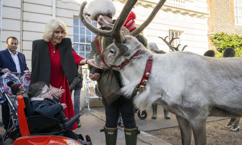 Camilla, the Queen Consort, with a reindeer