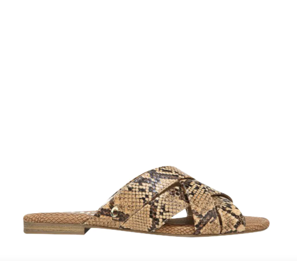 Circus by Sam Edelman Burnett Sandal in Brown Snake Print (Photo via DSW)