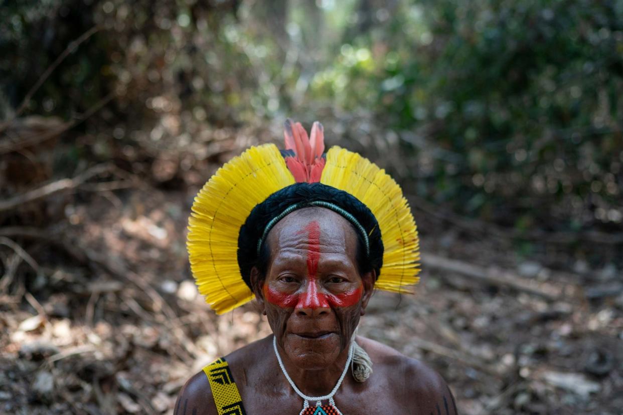 Krimej village indigenous Chief Kadjyre Kayapo, of the Kayapo indigenous community, poses for a photo on the path opened by illegal loggers: AP