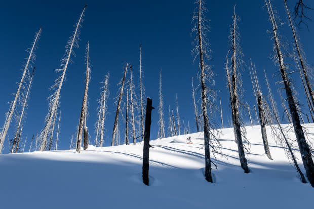 Late afternoon in this wildfire zone created some beautiful compositions to work with. Callum Pettit found the perfect spot to turn through a burnt forest in Revelstoke, British Columbia.<p>Photo: Tal Roberts</p>