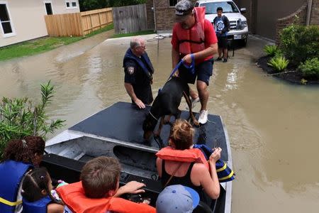 Harris County Sheriff deputies help residents evacuate from high water in the Wimbledon Champions subdivision of Houston, Texas April 20, 2016. REUTERS/Harris County Sheriff's Office/Handout via Reuters