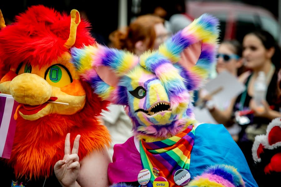 Grand Rapids Pride Festival on Saturday, June 22, 2024. (Michael Buck/WOOD TV8)