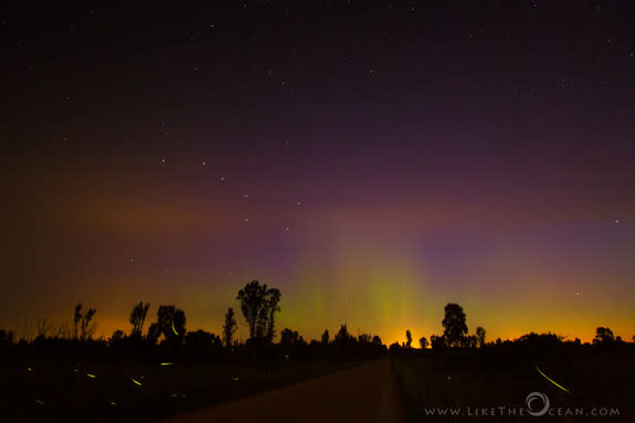 Photographer Sathya shot this image of the northern lights leaving a warm glow in the sky over Harmon, Illinois. The Big Dipper can be seen to the left of the middle, just above the trees. The streaks of light near the ground are fireflies.