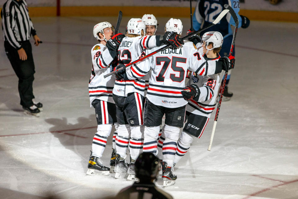 The Rockford IceHogs celebrate a recent goal during their three-game winning streak. The Hogs return to Rockford for a three-game homestand starting Wednesday, Dec. 8, 2021.