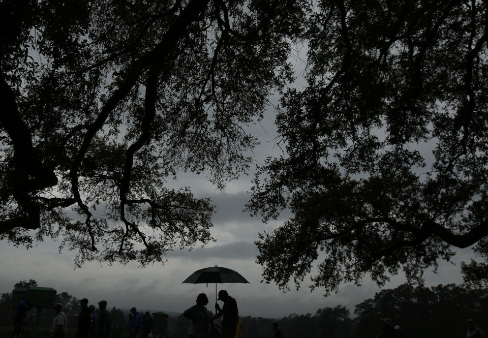 Fans stand under a tree during the par three competition at the Masters golf tournament Wednesday, April 5, 2017, in Augusta, Ga. (AP Photo/Charlie Riedel)