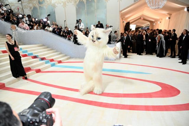 Jared Leto Dresses as Karl Lagerfeld's Cat Choupette at Met Gala 2023 –  Footwear News