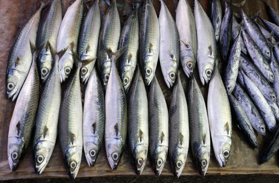 Oily fish is high in omega-3 fatty acids, which contributes to a healthy diet, and is also an environmentally sustainable source of meat. (Getty Images)