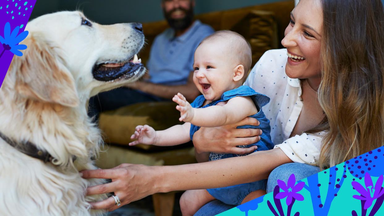 Have pet allergies? Here are some ways to keep the love flowing (but not your nose). (Getty Images)