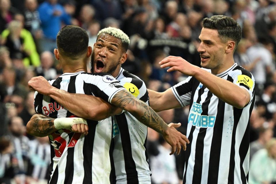 Newcastle were superb to ground the Seagulls (AFP via Getty Images)