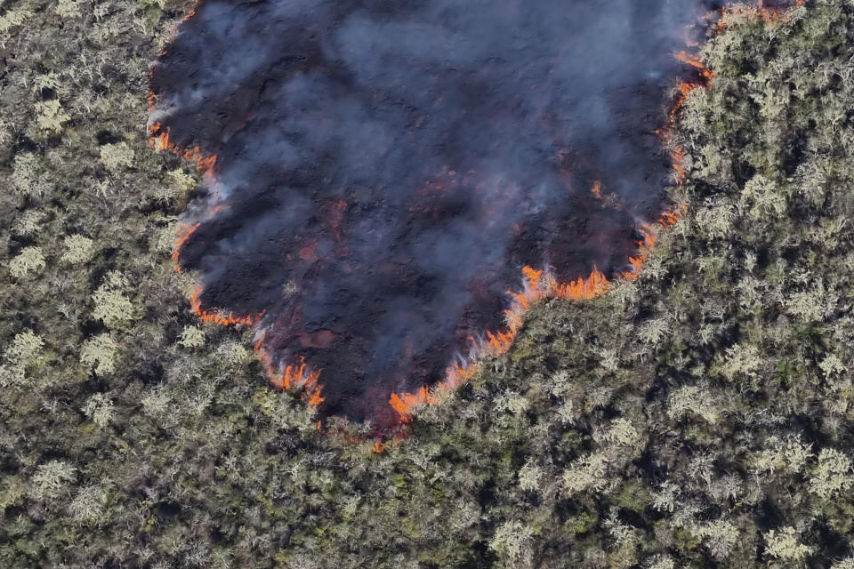 This photo released by the the National Galapagos Park communications office shows, from above, lava from the eruption of Wolf Volcano on Isabela Island, Galapagos Islands, Ecuador, Friday, Jan. 7, 2022. (Wilson Cabrera/National Galapagos Park communications office via AP)