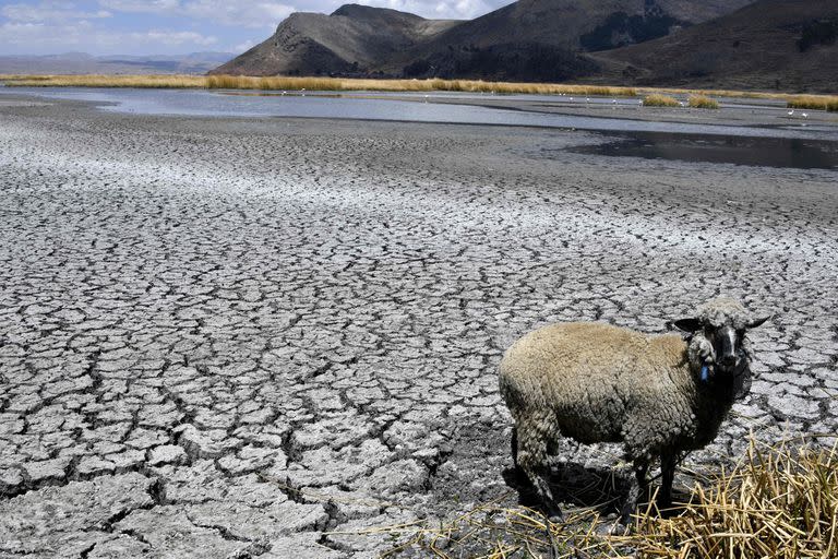 El lago se encuentra a 25 centímetros del mínimo histórico registrado en 1996