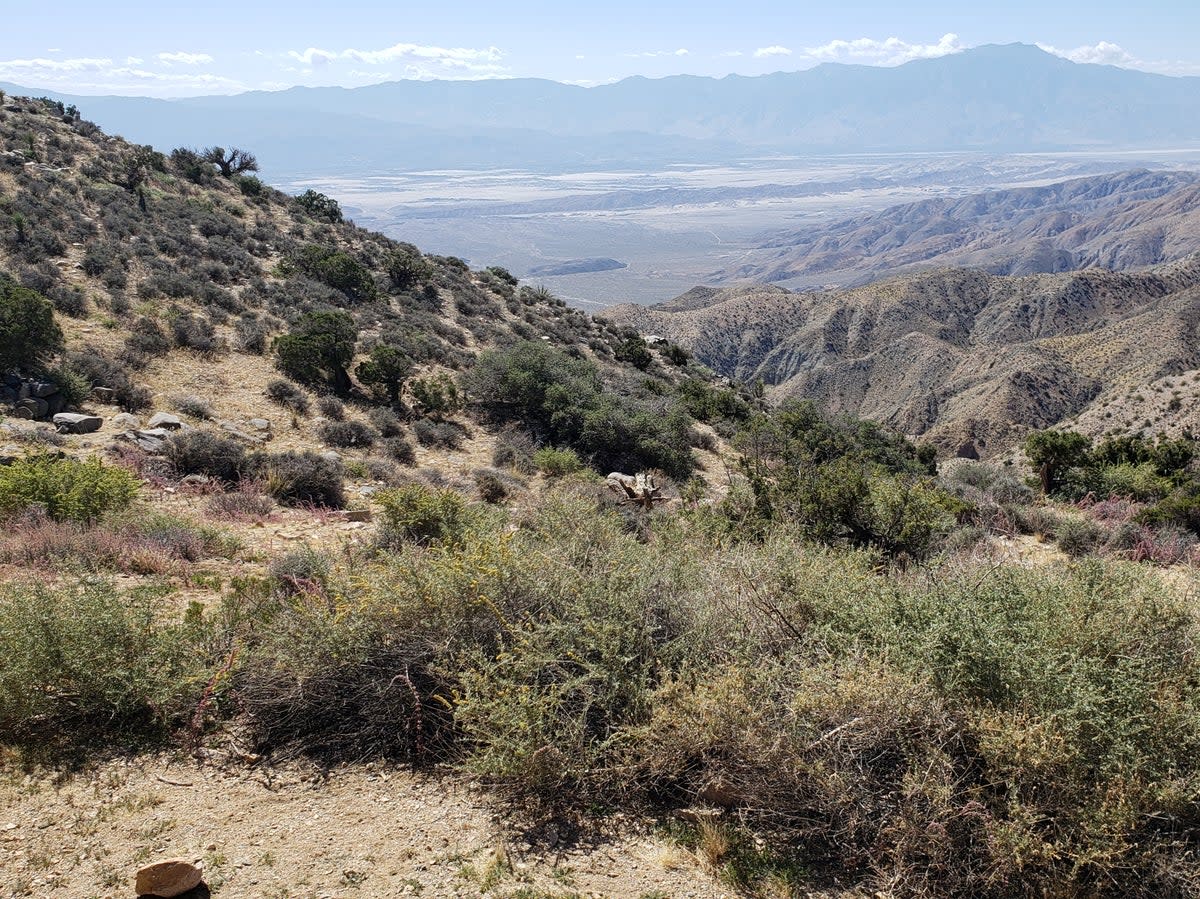 Looking across the Palm Springs Valley and San Andreas Fault Line from Joshua Tree National Park (Simon Veness and Susan Veness)