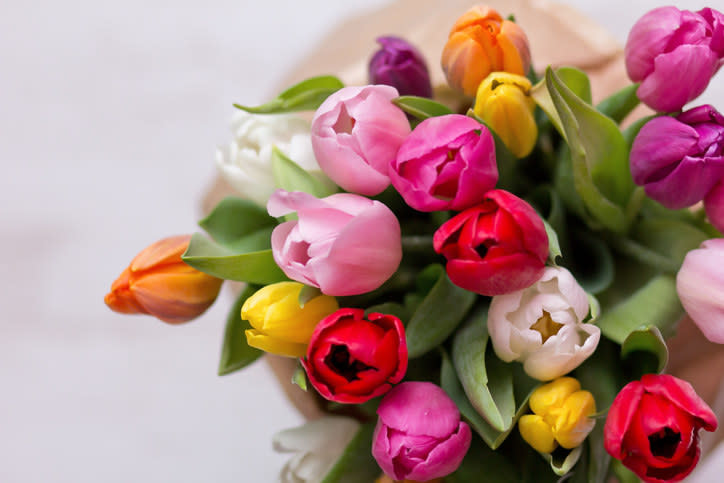 A bouquet of tulips