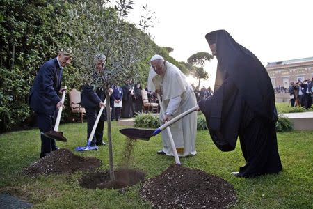 (L-R) Israeli President Shimon Peres, Palestinian President Mahmoud Abbas, Pope Francis and Orthodox Patriarch Bartholomew I plant an olive tree saplings as a gesture of peace after a prayer meeting at the Vatican June 8, 2014. REUTERS/Max Rossi