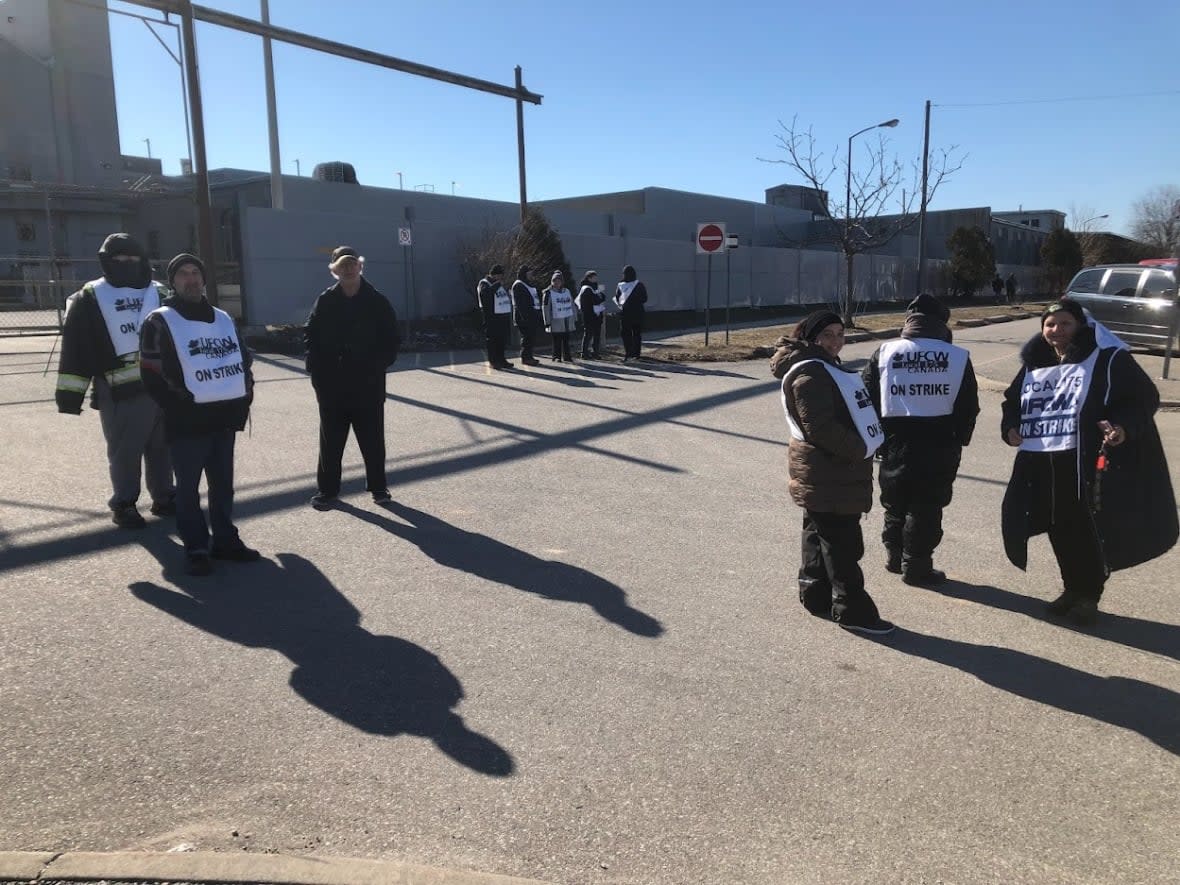 Workers were out on the picket line at Highbury Canco in Leamington, Ont., on Monday. (TJ Dhir/CBC - image credit)