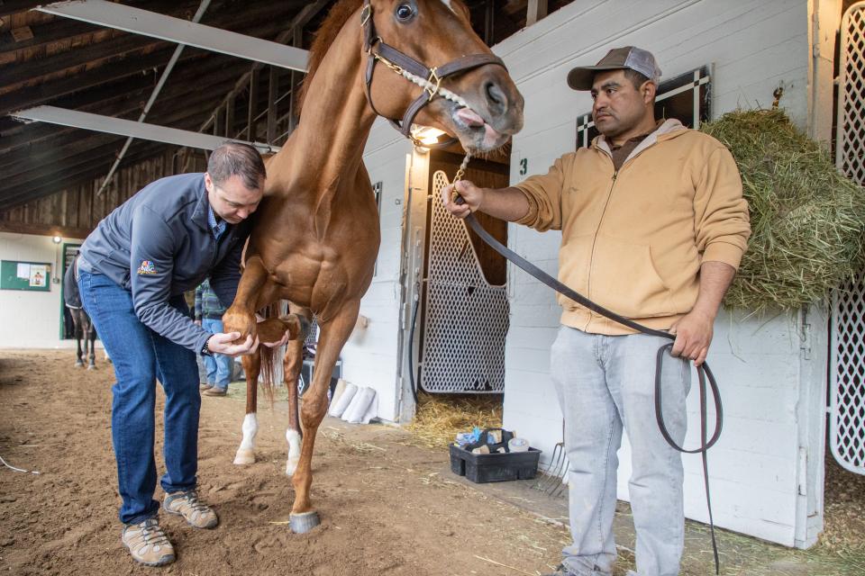 Churchill Downs' equine medical director, Dr. William Farmer, left, looks over thoroughbred Curlin Lane following track workouts Monday morning. April 22, 2022