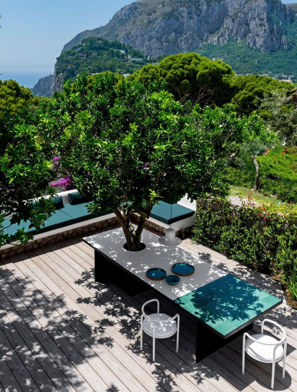 a pool with a tree and a deck with a view of a mountain and a large body of