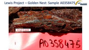 Lewis Project - Golden Nest Sample A0358475