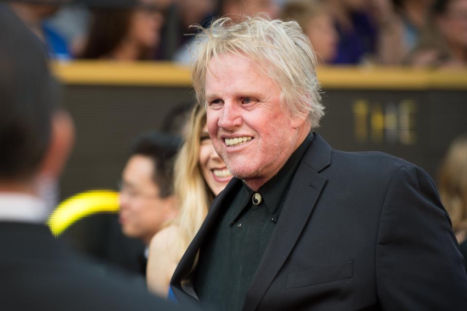 Gary Busey