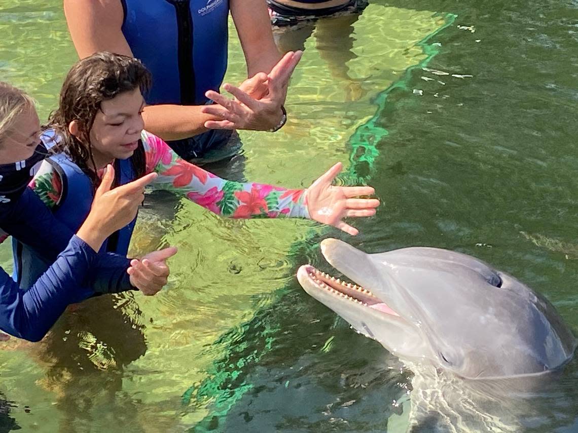 Giovanna Camarotti Dadalto approaches Leo the dolphin at Dolphins Plus in Key Largo Friday, April 23, 2021. The family went to the marine mammal facility as part of the Make-A-Wish South Florida program.