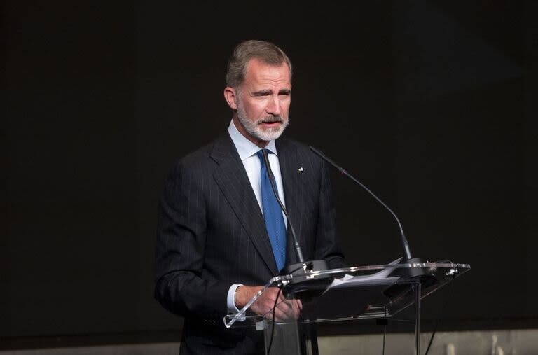 El Rey Felipe VI 