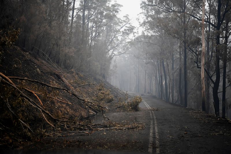 Bushfires in Eden, Australia