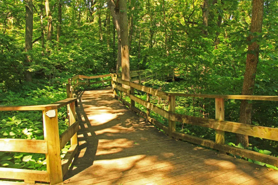 Peaceful boardwalk trail through lush trees in the Fontenelle Forest Nature Center in Bellevue, Nebraska near Omaha via Getty Images