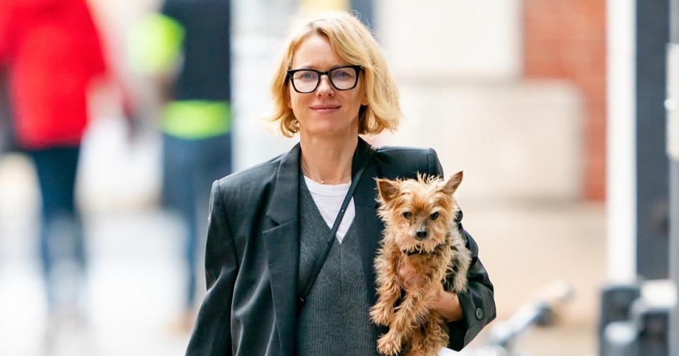 Naomi Watts & Her Pup Take N.Y.C., Plus Jason Momoa, Matthew McConaughey & More