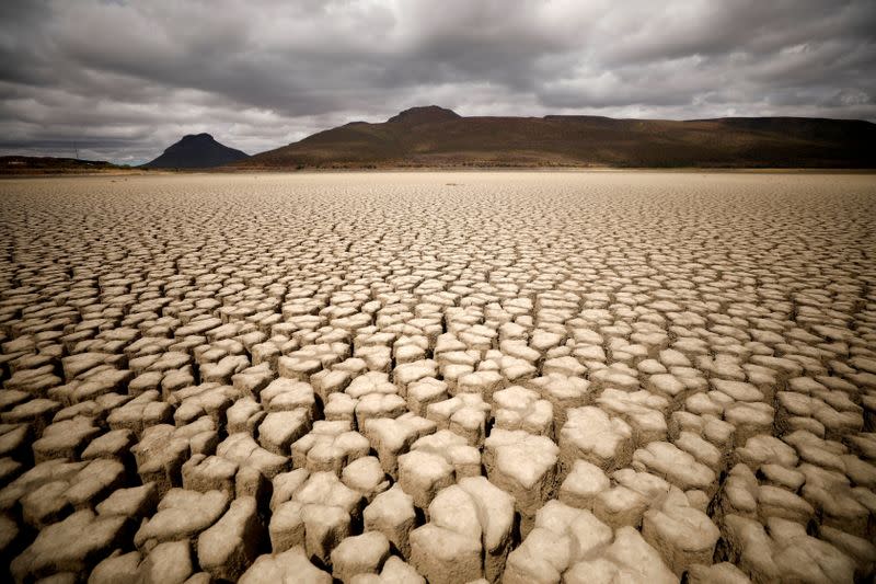 FILE PHOTO: Clouds gather but produce no rain as cracks are seen in the dried up municipal dam in drought-stricken Graaff-Reinet