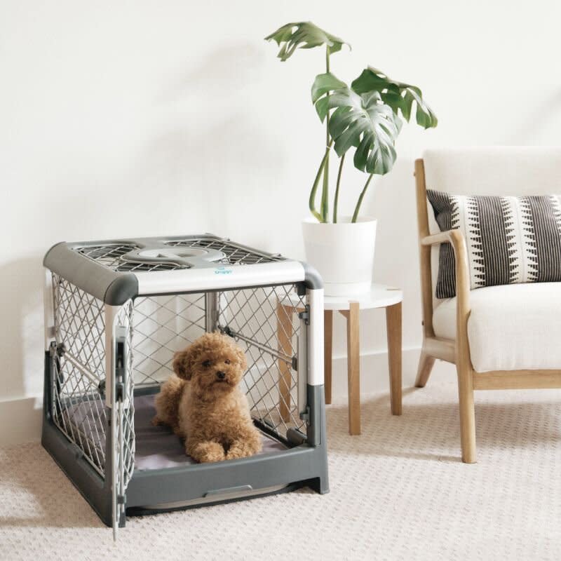 gifts-for-dog-lovers-Revol dog crate