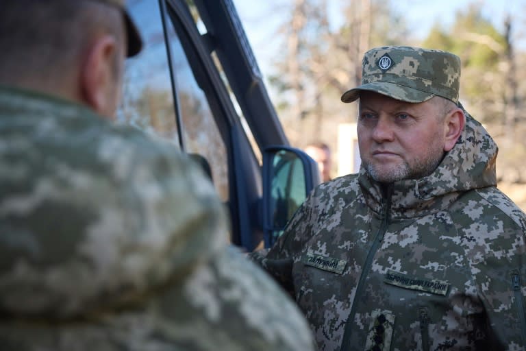 L'ancien commandant en chef des forces armées ukrainiennes, Valery Zaloujny, le 3 novembre 2023 (Handout)