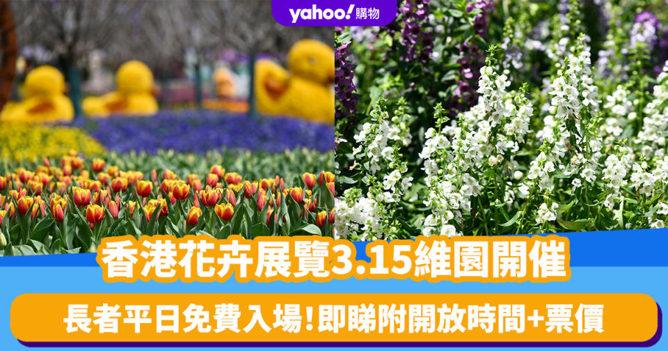 香港好去處｜香港花卉展覽3.15維園開催！長者平日免費入場（附開放時間+票價）