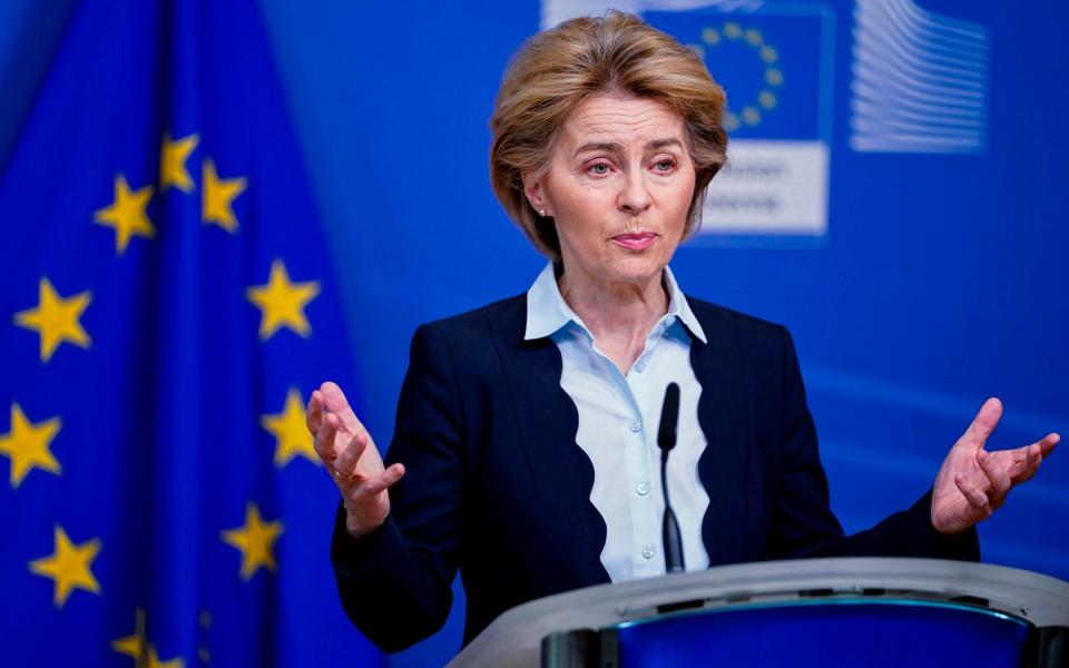 European Commission President Ursula von der Leyen  - AFP