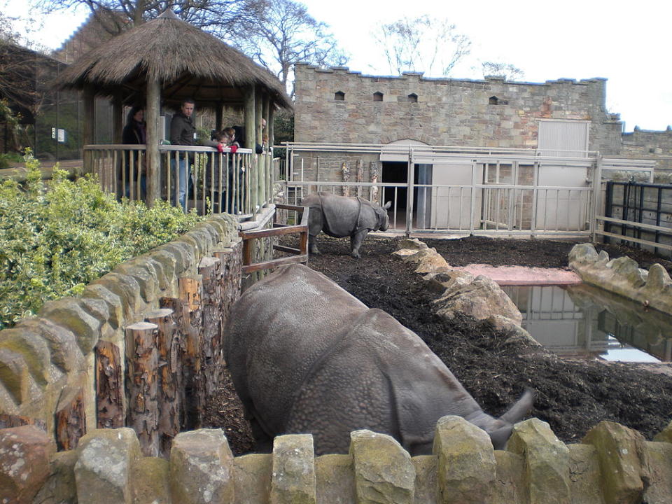 愛丁堡動物園 (Photo by Andrew Girdwood from Edinburgh, Scotland, License: CC BY 2.0, 圖片來源www.flickr.com/photos/wyrdo/2393757492)