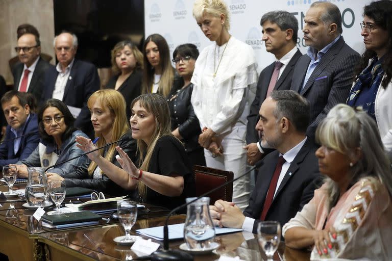 Juliana Di Tulio en la conferencia del interbloque de senadores nacionales del Frente de Todos (FdT)