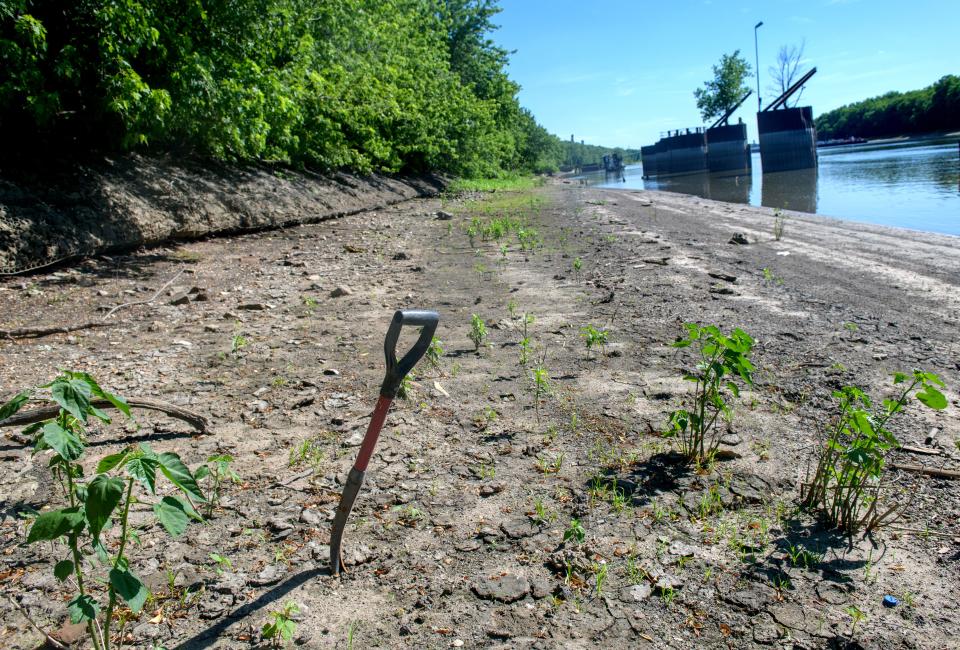 The handle of a discarded shovel sticks out of the mud on the riverfront along South Front Street in Pekin.