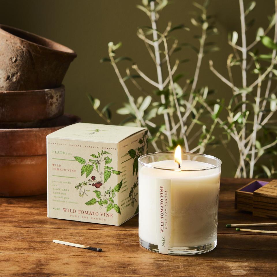 45) Plant The Box Scented Candle