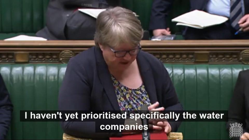 Therese Coffey says other ministers are looking into the UK sewage crisis (Parliament Live)