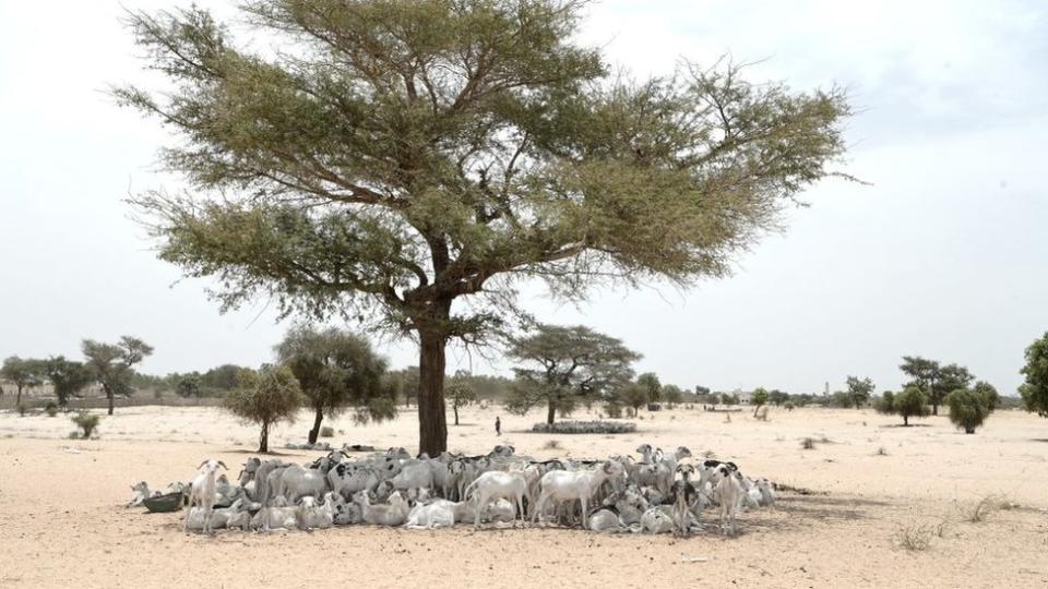 Senegal heatwave climate change