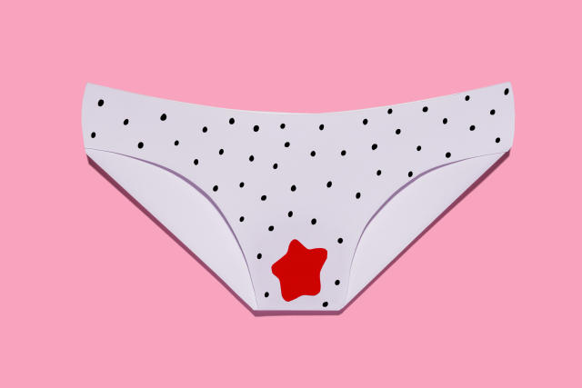 Period Underwear FAQ  Thinx and Knix Review 